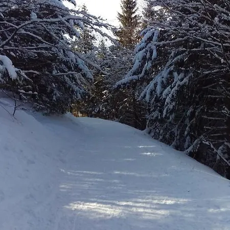 Hotel apartamentowy Familiehuis Dolve 2 3*