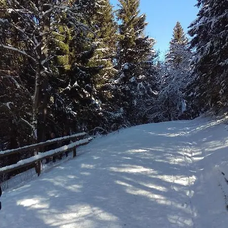 Familiehuis Dolve 2 Hartheim am Rhein