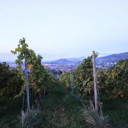 Familiehuis Dolve 2 Hartheim am Rhein