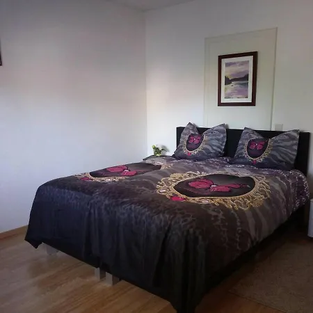 Familiehuis Dolve 2 3*